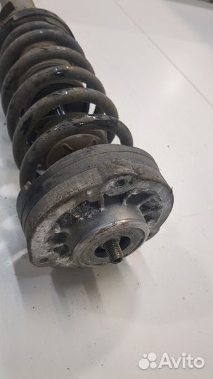 Амортизатор подвески правый передний BMW 5 F10