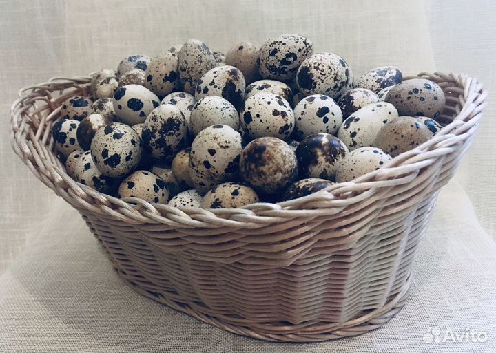 Яйца перепелиные домашние с доставкой