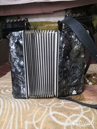 Баян weltmeister