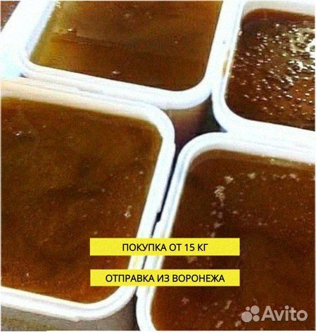 Мед оптом для успеха вашего бизнеса