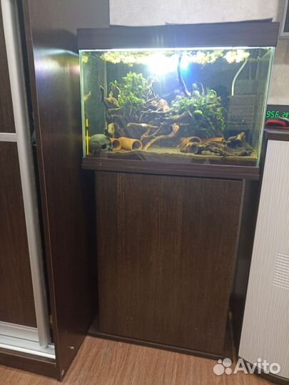 Аквариум