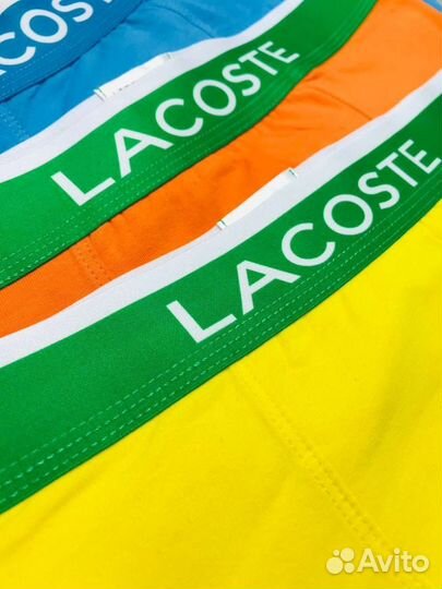 Мужские трусы Lacoste хлопковые