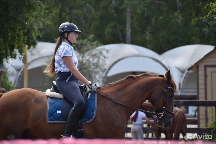 Услуги фотографа-анималиста