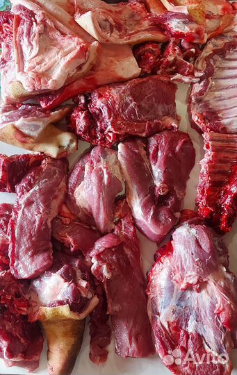 Мясо свинина домашняя