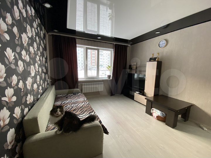 1-к. квартира, 30,2 м², 1/5 эт.