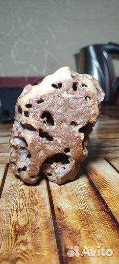 Морские камни