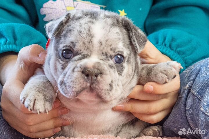 Посмотрите какая красотка