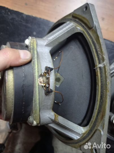 Нч динамики 30гд2-4ом S90