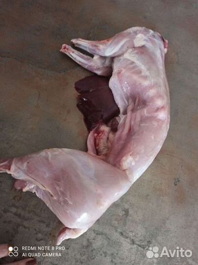 Мясо кролика