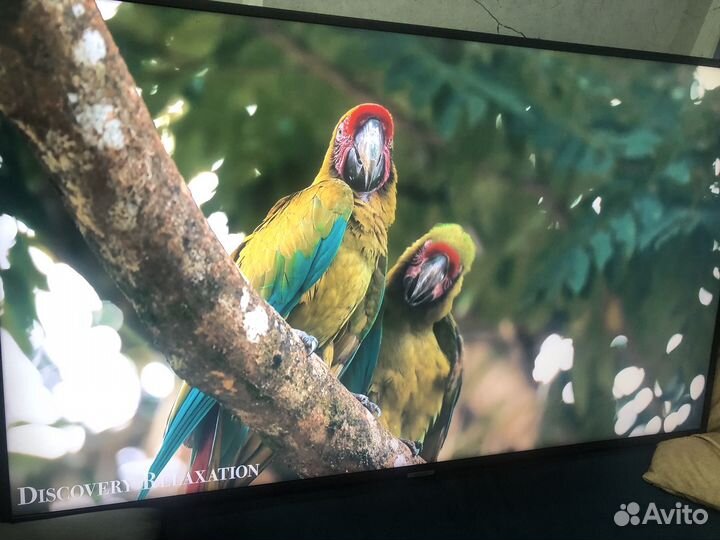 Телевизор samsung 49 дюймов