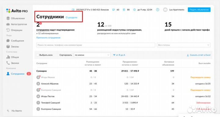 Авитолог/Продвижение на Авито/TOP-10