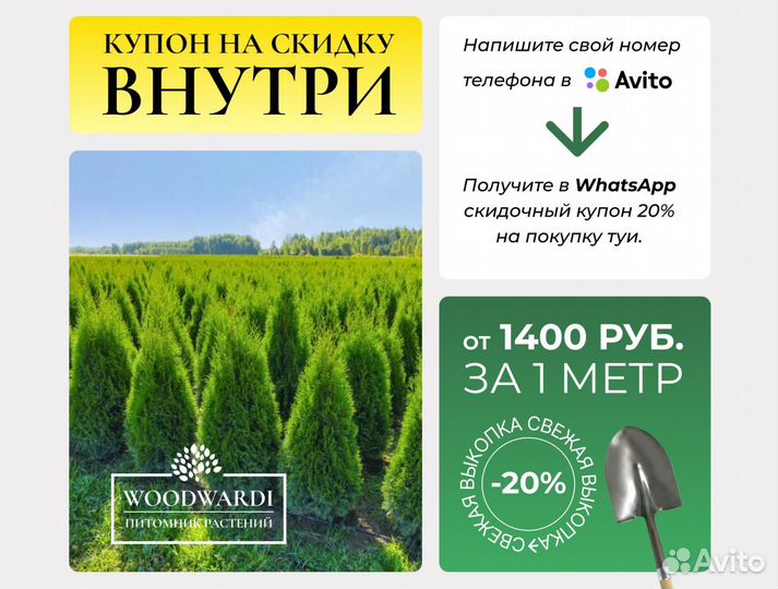 Туи Крупномеры Смарагд 1,8-2 м