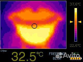 Тепловизор бытовой