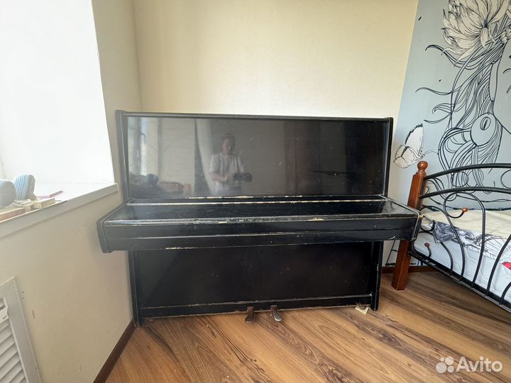 Фортепиано Ласточка