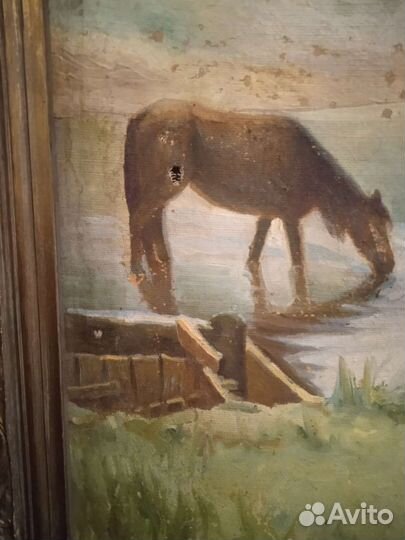 Встреча на речке