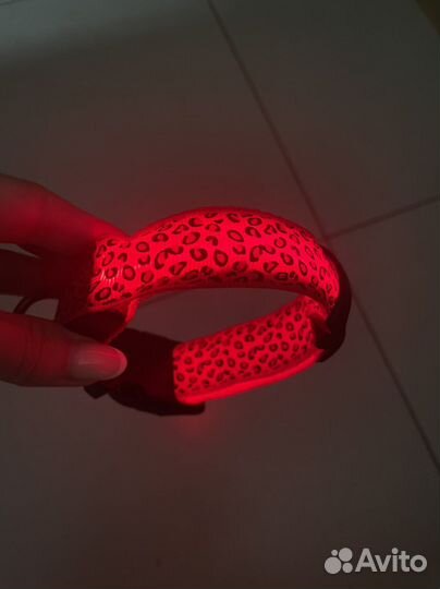 Светящийся ошейник для собак и кошек