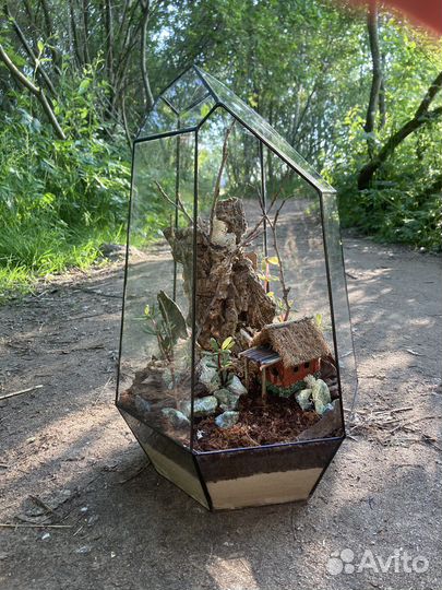 Флорариум без ухода