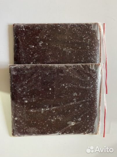 Артемия, морской мотыль заморозка, доставка