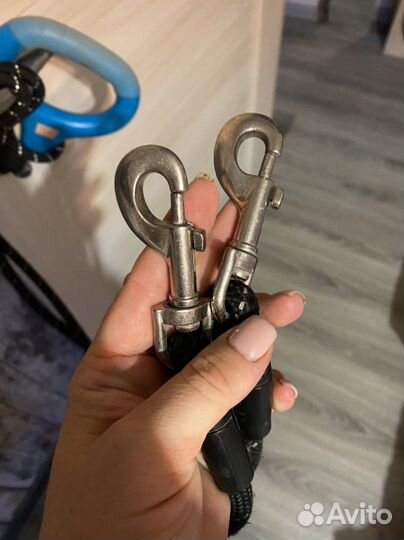 Двойной поводок для собак Wigzi