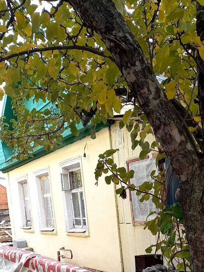Дом 80 м² на участке 4 сот.