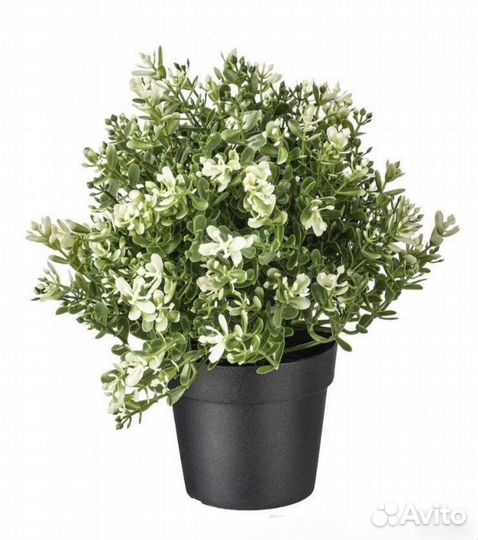 Фейка IKEA искусственное растение Новые