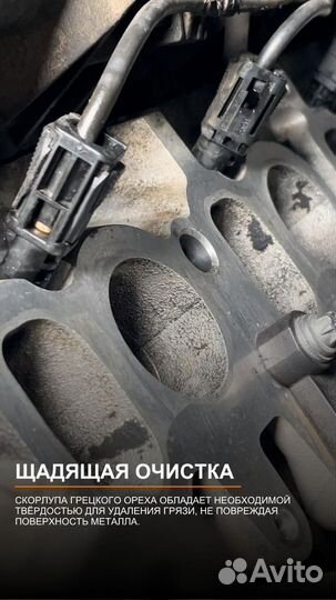 Чистка орехоструем