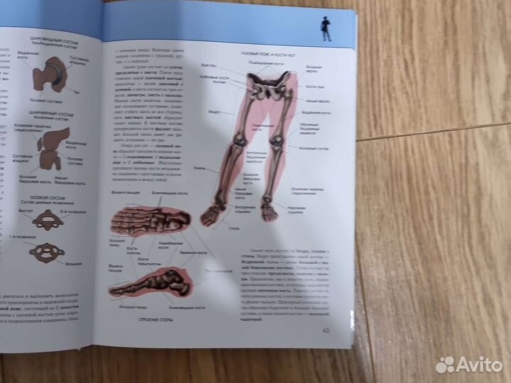 Полная энциклопедия