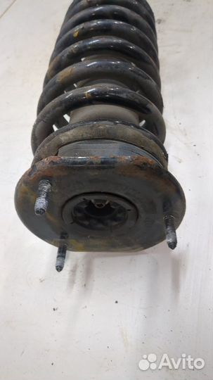 Амортизатор подвески левый передний Mercedes ML W164, 2006