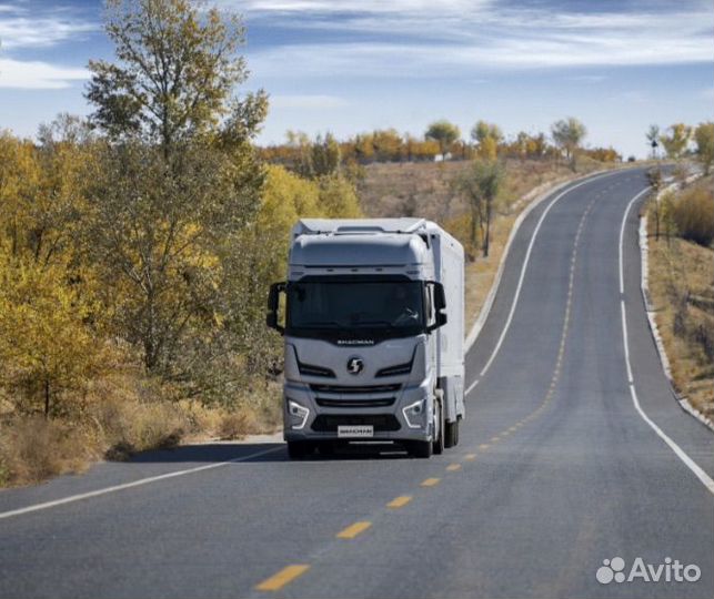Подменный водитель категории Е