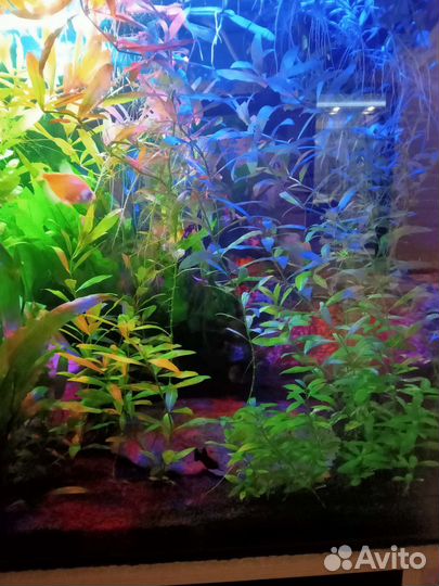 Украшение для аквариума