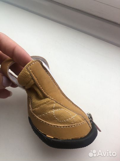 Ботинки обувь для собак