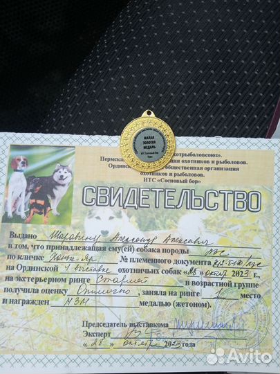 Лайка зсл