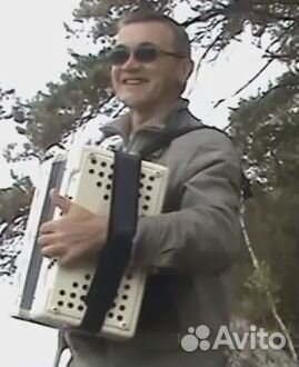 Гармонист на праздник