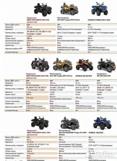 Aodes pathcross MAX 1000 XE PRO-sport двухместный