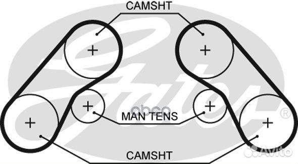 0K9BV12206 Ремень грм KIA carnival 2.5L V6 1999