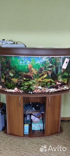 Аквариум с тумбой бу