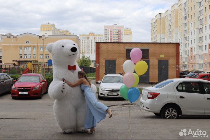 Огромный Белый медведь поздравление / Белый мишка