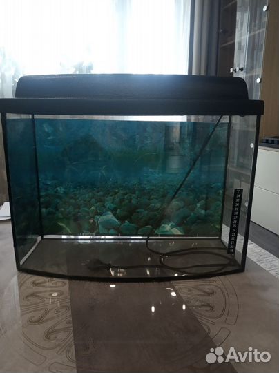 Аквариум