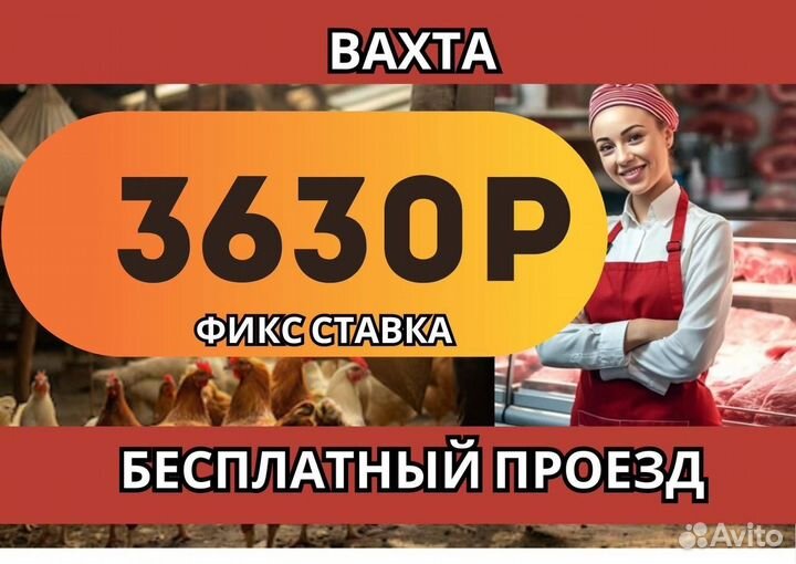 Фасовщик на фабрику. Бесплатный проезд.Вахта