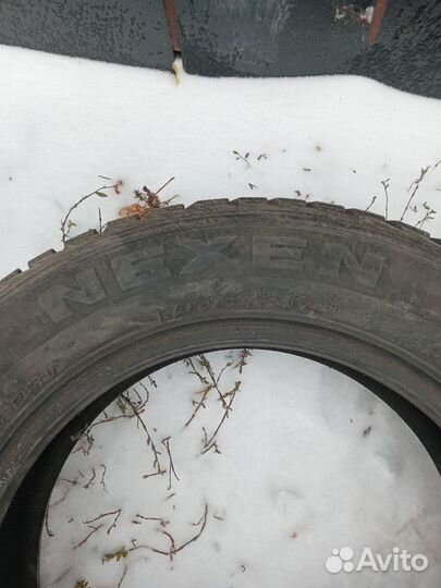 Nexen Winguard Ice 205/60 R16