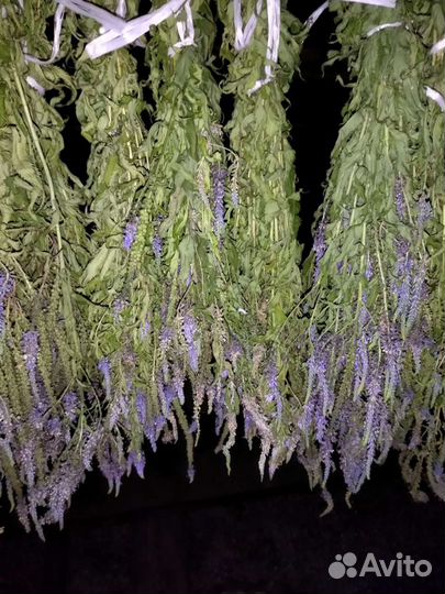 Лечебные травы