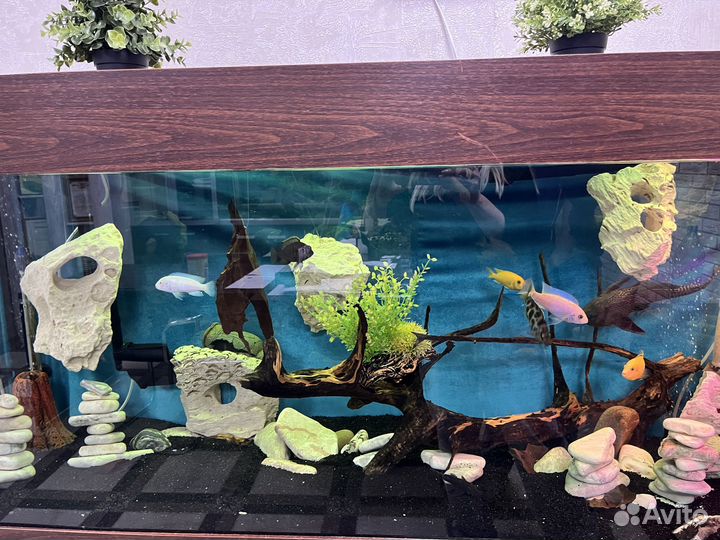 Аквариум с тумбой