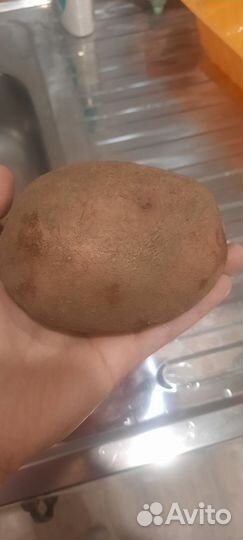 Продам картофель