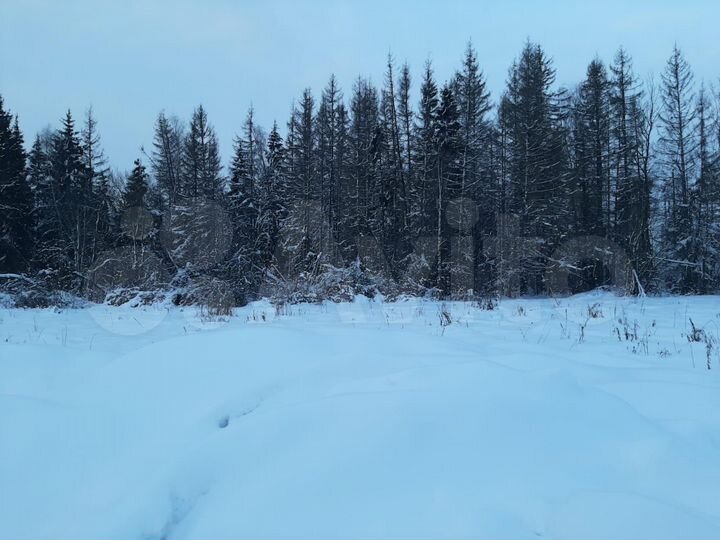 Участок 10 сот. (ИЖС)