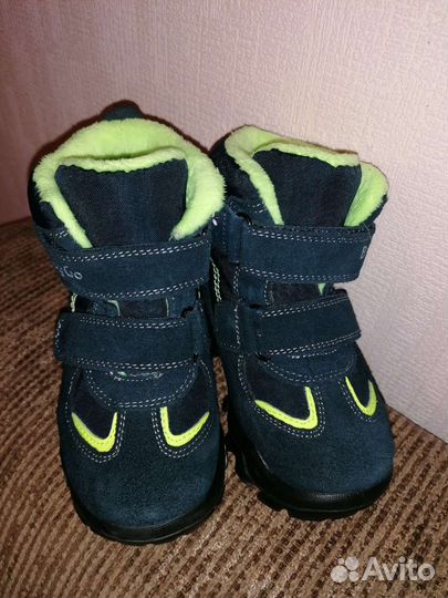 Сапоги демисезонные