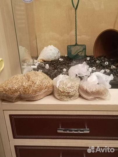 Аквариум Dophin