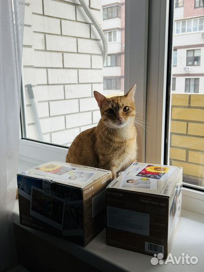 Новые Instax Wide 300 Toffee Fujifilm