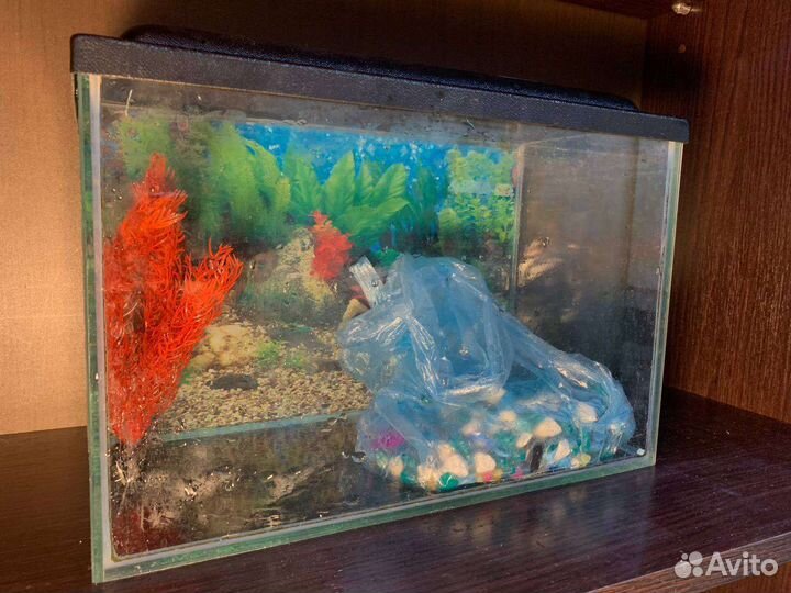 Аквариум