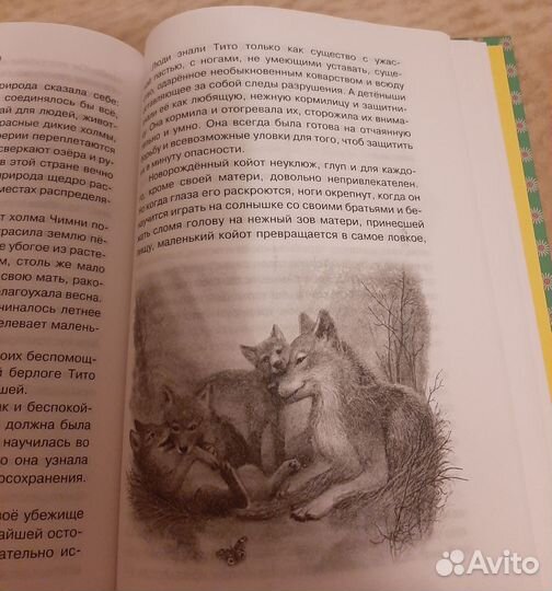 Эрнест Сетон – Томпсон рассказы о животных