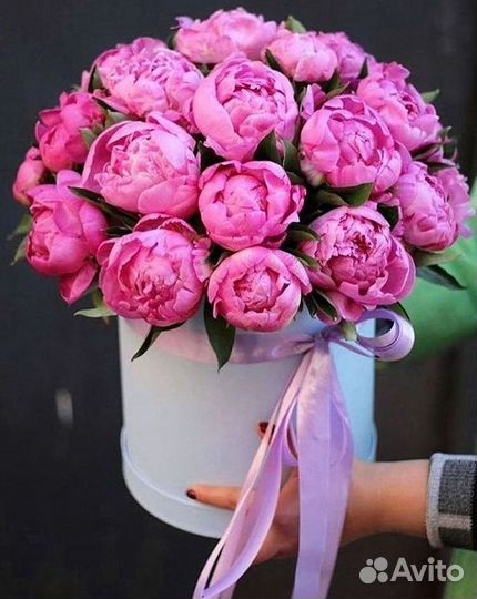 Пионы Букет пионов